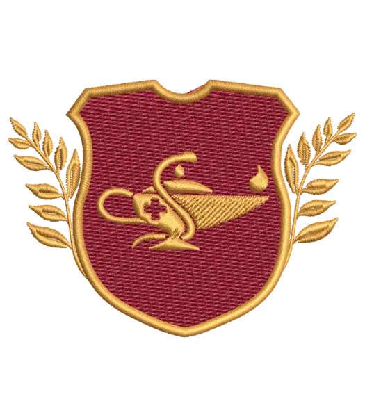 Matriz de Bordado Curso Enfermagem
